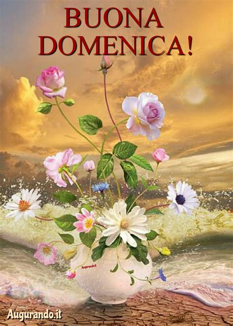 immagini di buongiorno e buona domenica|immagini buona domenica gratis.